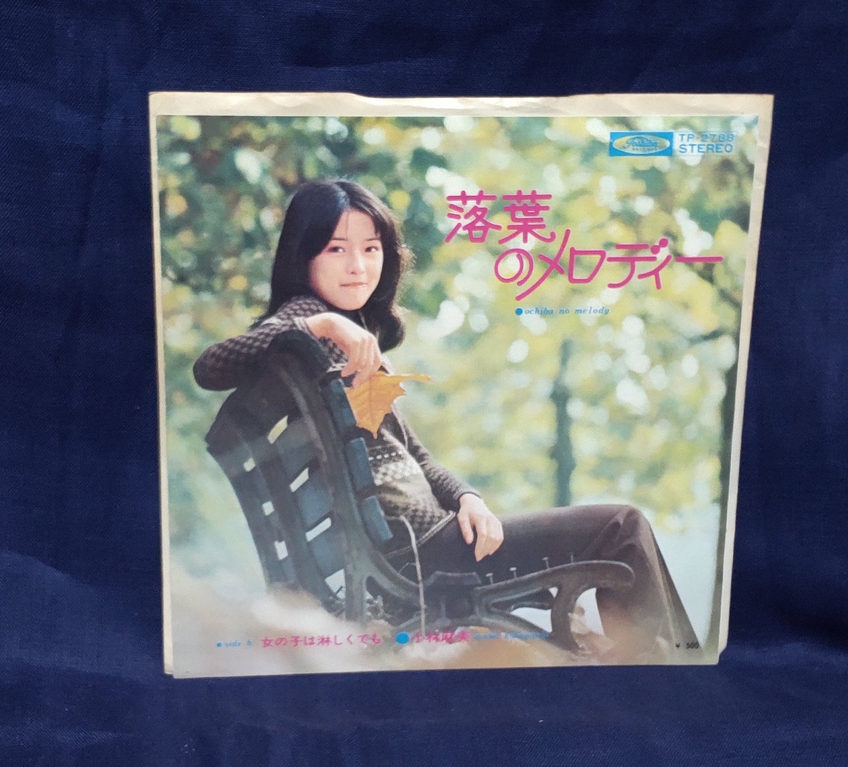 小林麻美　レア　大型パネル70×50cm 小林麻美 レア 大型パネル70×50cm 小林麻美 | WILD ONE